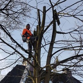 Gartenarbeit und Hausmeisterservice Inh. Shaip Rexhepi - Baumfällung